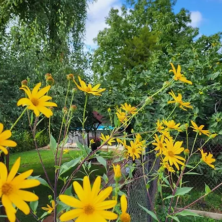 Vila Mila Fruska Gora Velika Remeta Exterior foto