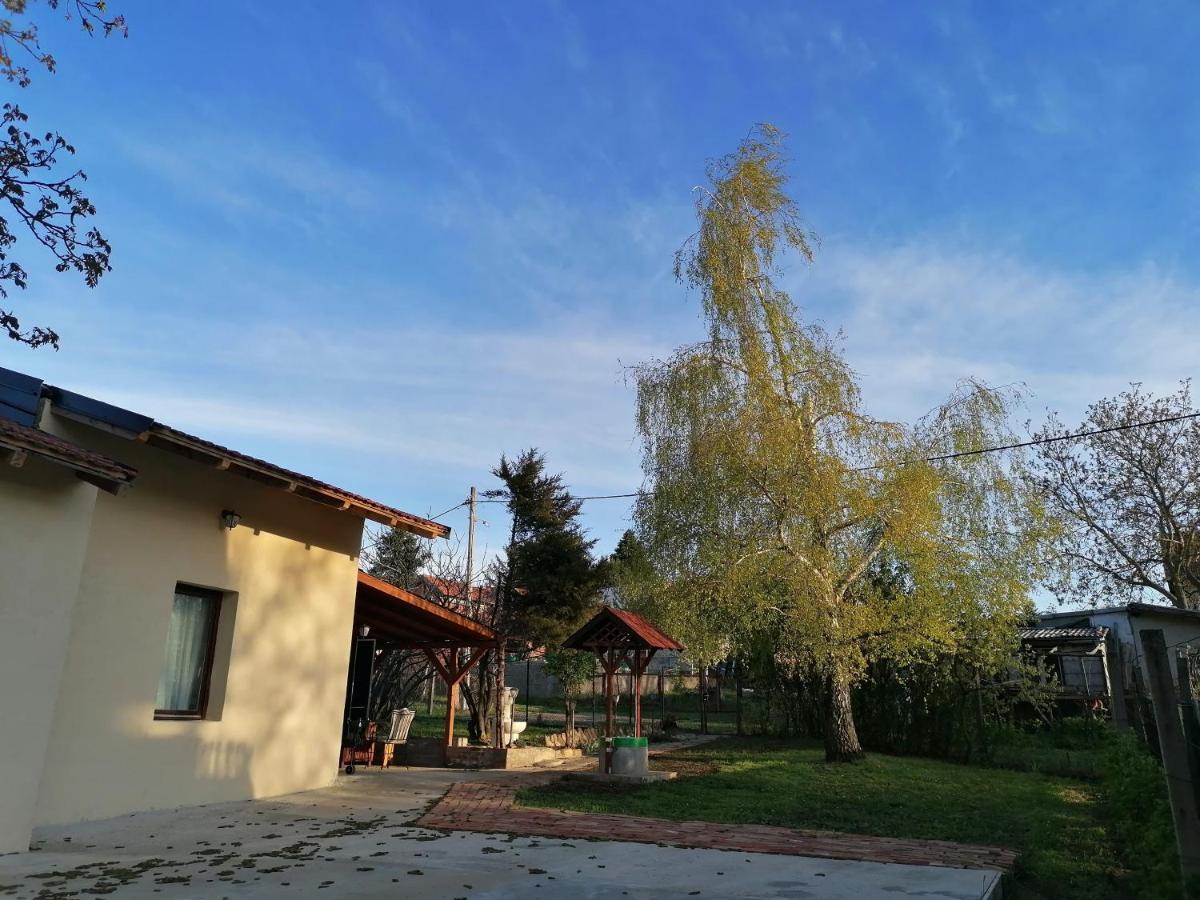 Mila Fruska Gora Ferienhaus